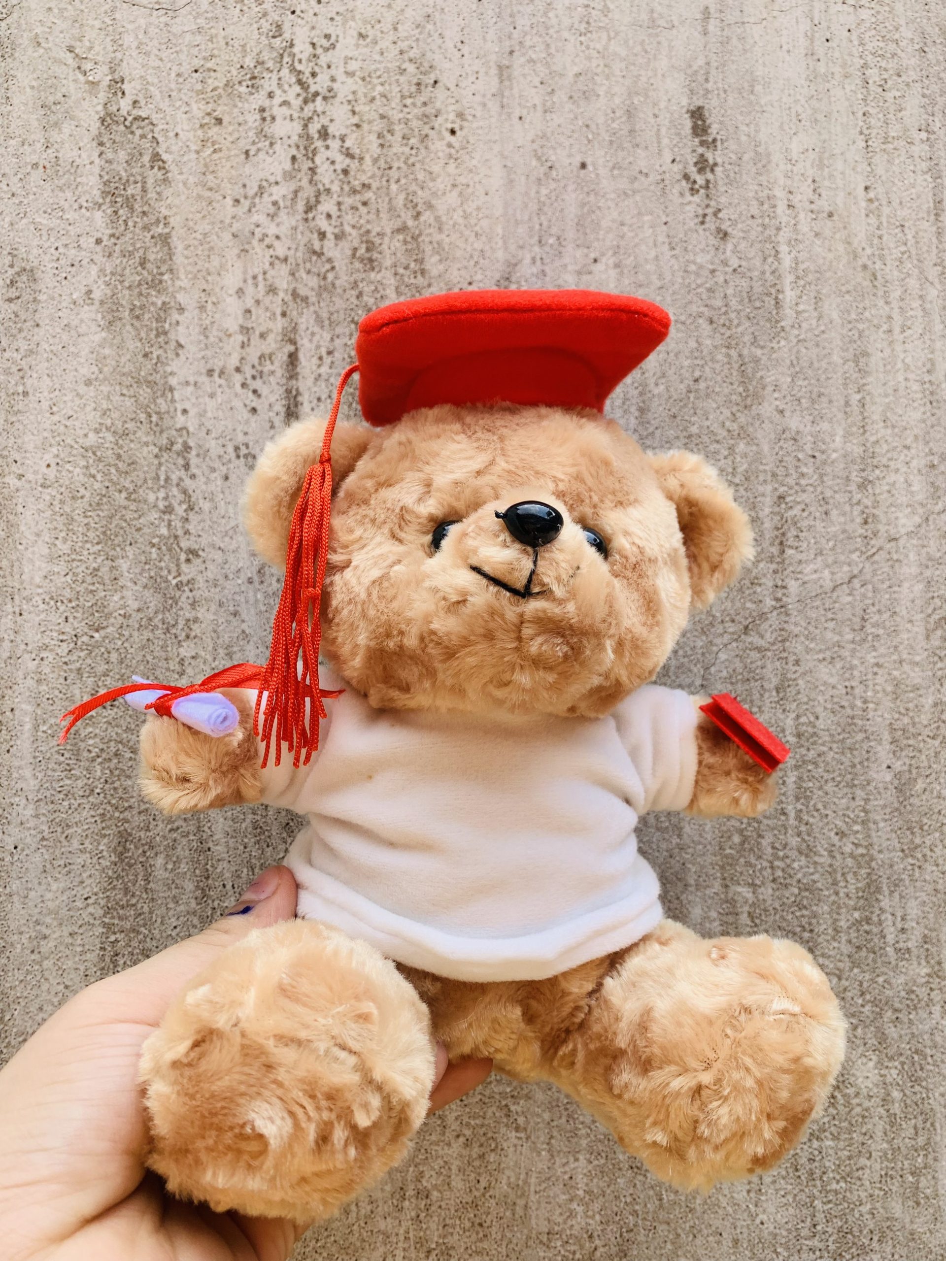 Gấu bông tốt nghiệp xoắn hoa hồng