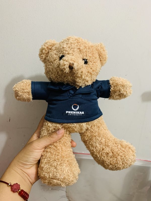 Gấu bông Teddy