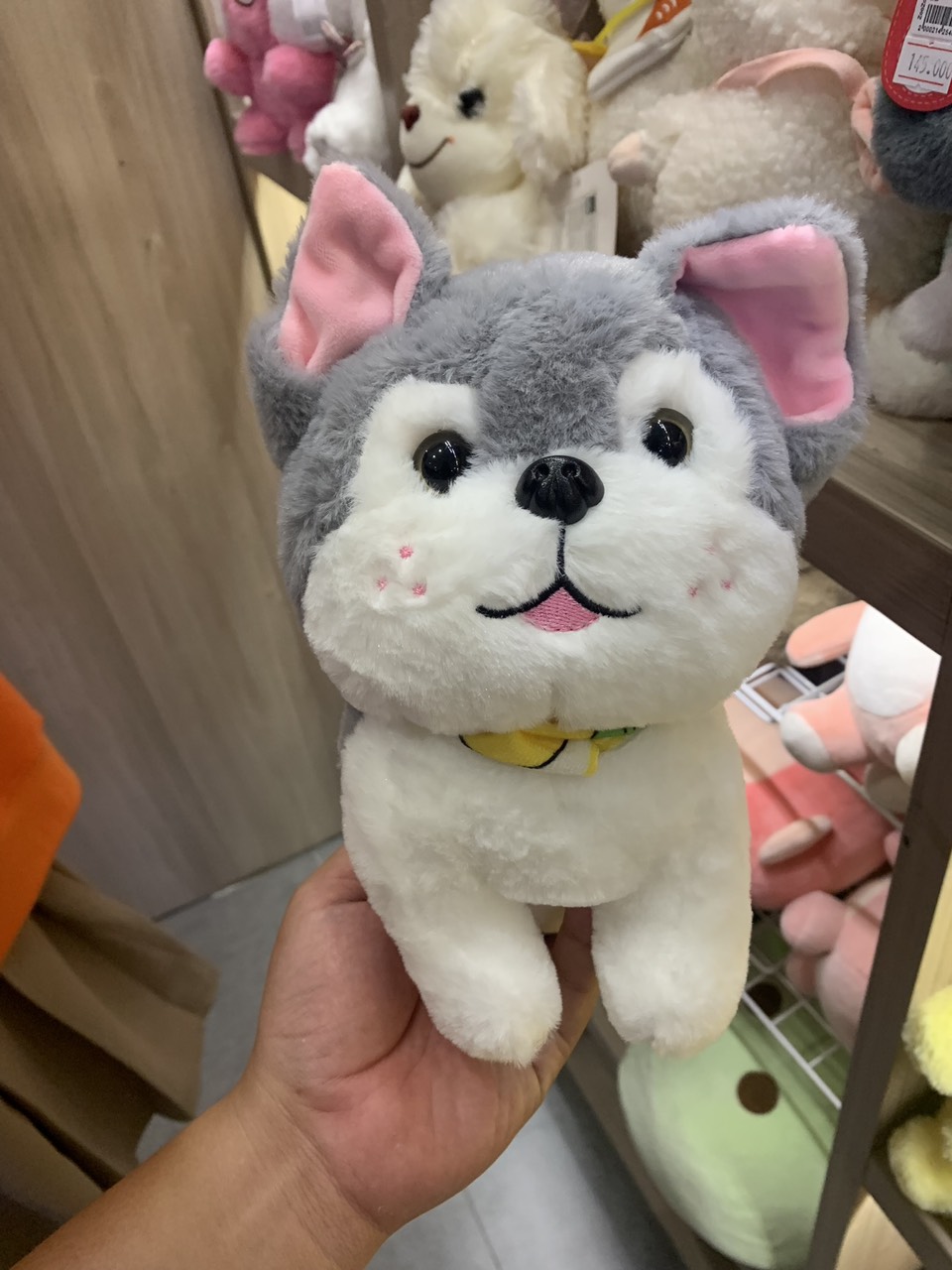 Gấu bông Husky