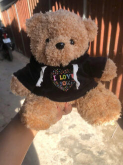 Alternative view of gấu xù mỳ 20cm mặc áo hoodie 2